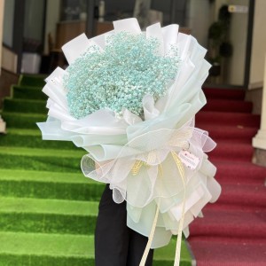 Hoa Tươi Tặng Sinh Nhật - OA54